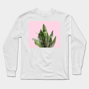 Pastel snake plant Long Sleeve T-Shirt